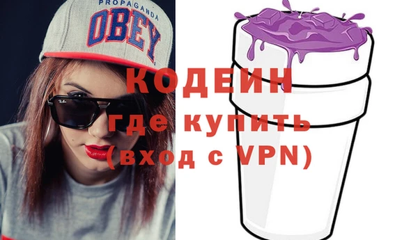 крисы Няндома