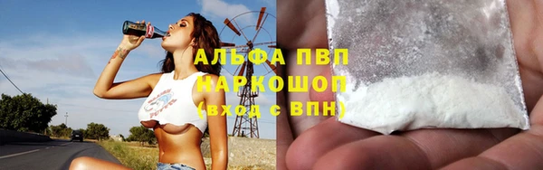 крисы Няндома