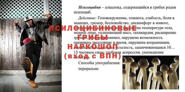 первитин Абинск