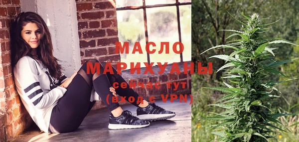 крисы Няндома