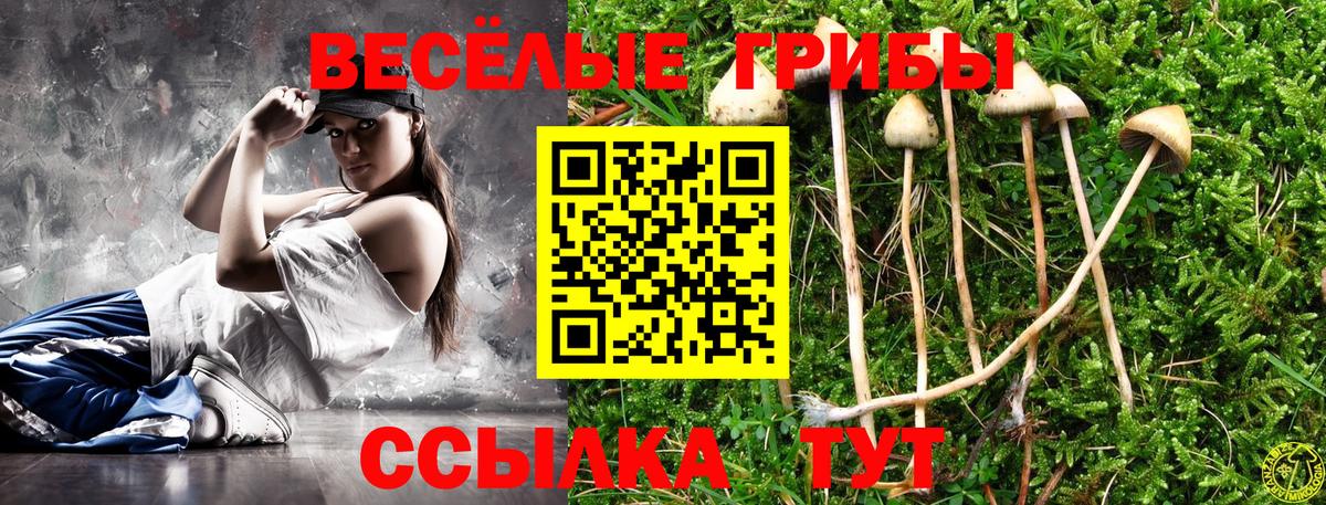 Псилоцибиновые грибы Magic Shrooms Приморско-Ахтарск