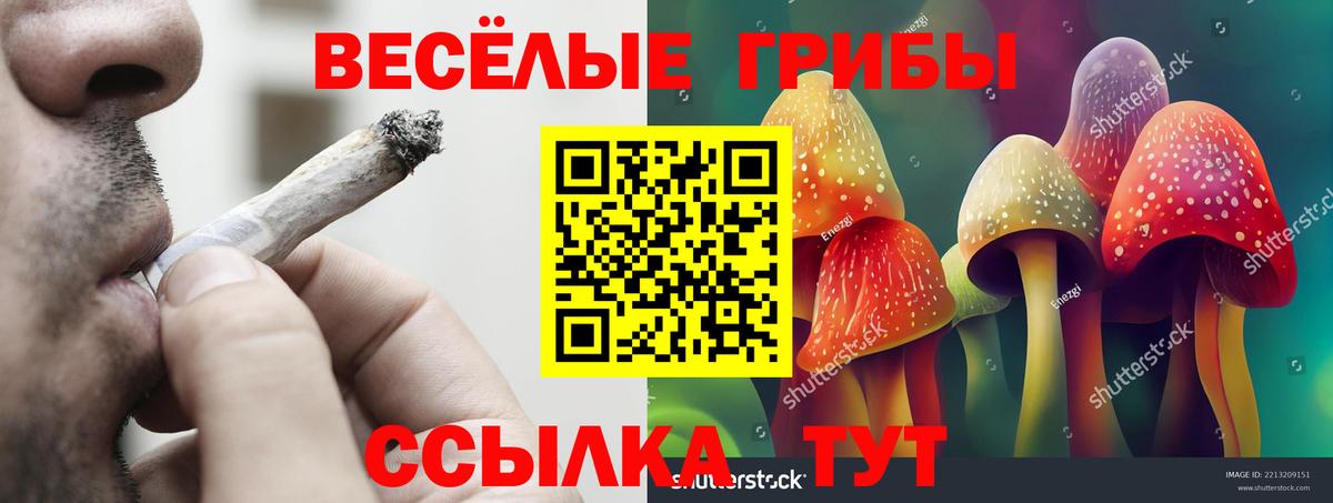 Приморско-Ахтарск  Галлюциногенные грибы мицелий  Псилоцибиновые грибы мицелий  Вход с VPN 
